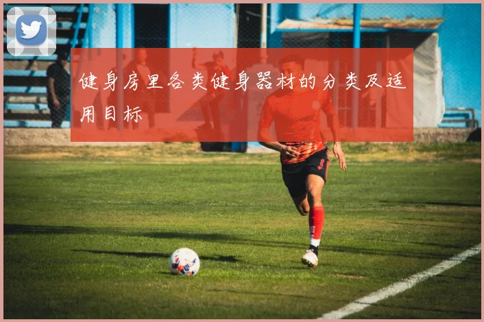 健身房里各类健身器材的分类及适用目标
