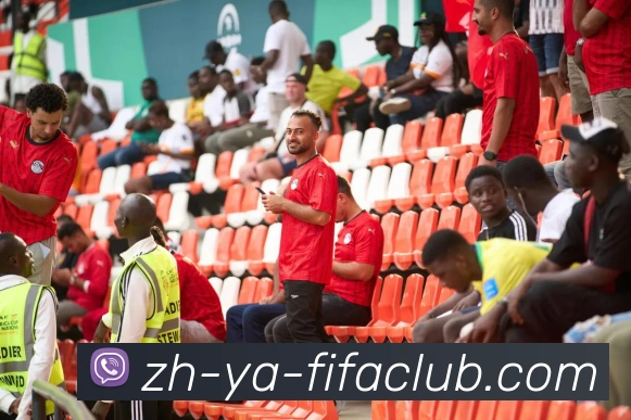 世界杯买球平台生态图