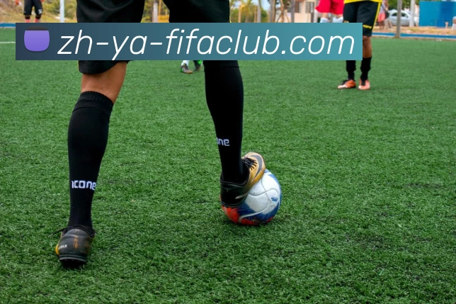 世界杯买球APP 封面图